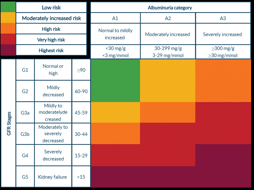 Chronic Kidney Disease Heat Map demonstrating the risk for progression of CKD