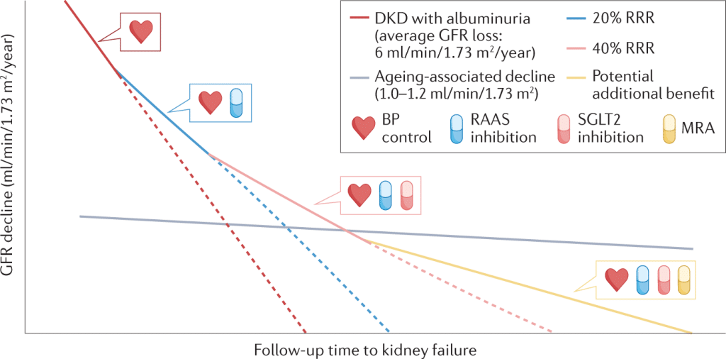 Goal directed kidney therapy to decrease the progression of CKD with pillars of care effect revealed