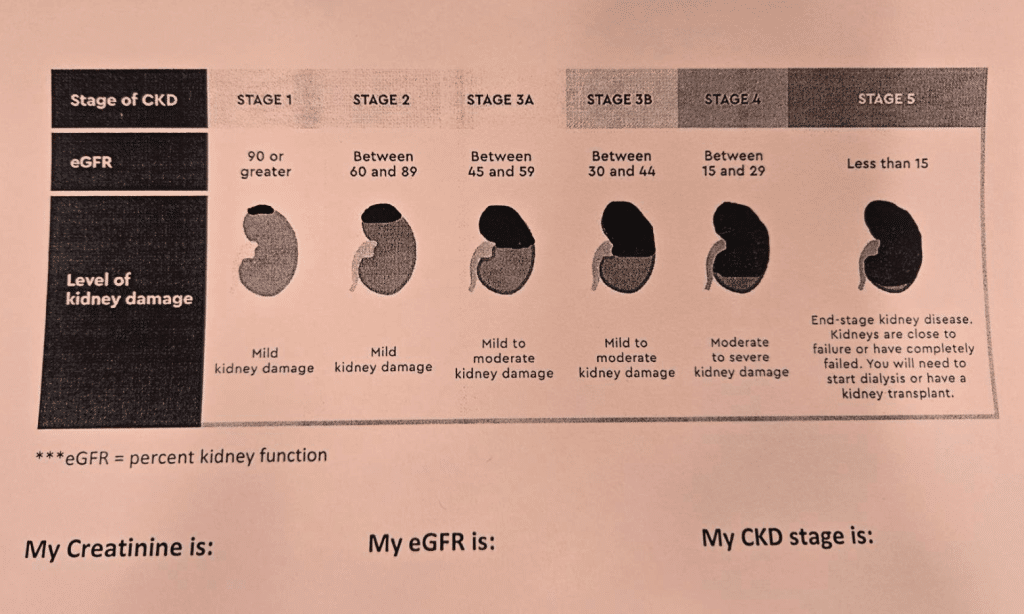 chronic kidney disease CKD stages patient information handout