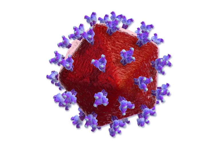 tenofovir nephrotoxicity in hiv. picture of the virus.